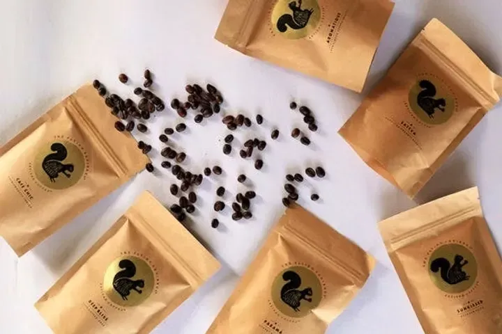 The Flying Squirrel.webp