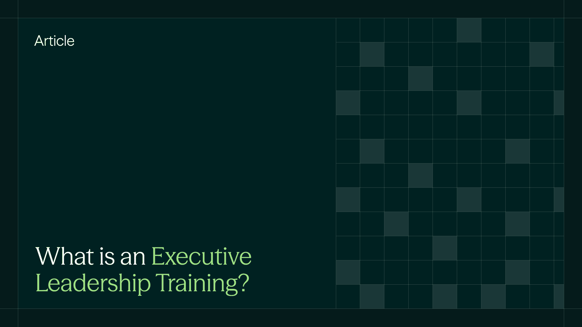 What is an Executive Leadership Training?