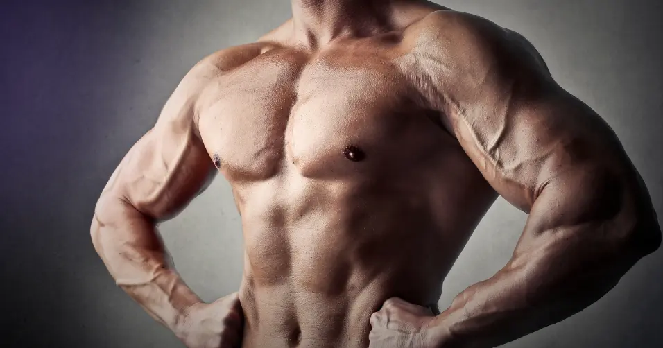 Bulking is a phase of eating surplus calories to gain muscle mass.