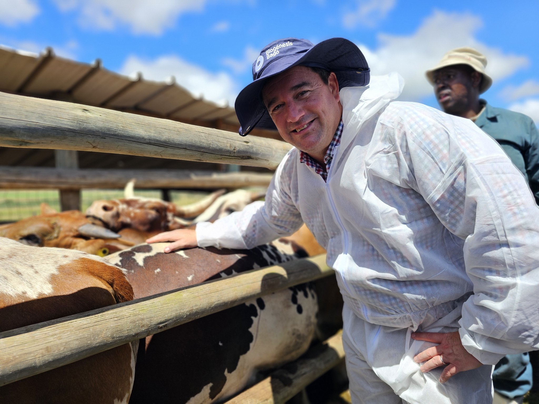 Photo:South Africa secures 13 million FMD vaccine doses to combat foot-and-mouth disease outbreak  – South African Daily
