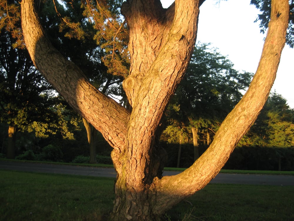 Fowler Pest Solutions photo 5