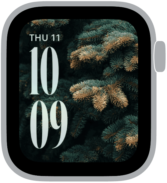 an apple watch face from the evergreen collection