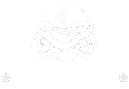 DFS Army Logo