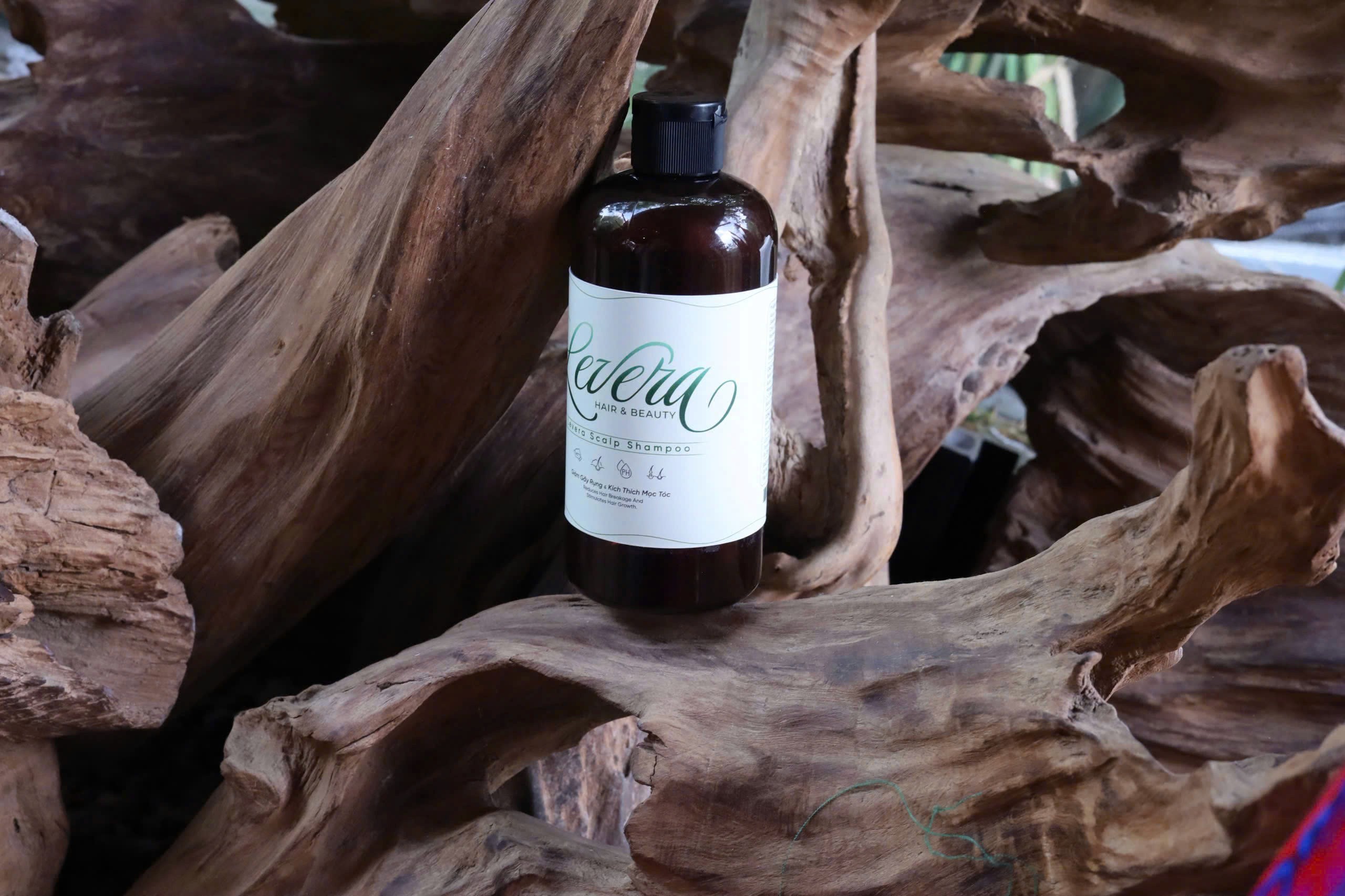 blonde haired woman in black top surrounded by tall plants