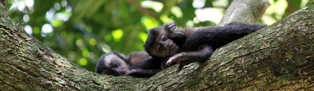 Jardim Botânico Rio de Janeiro