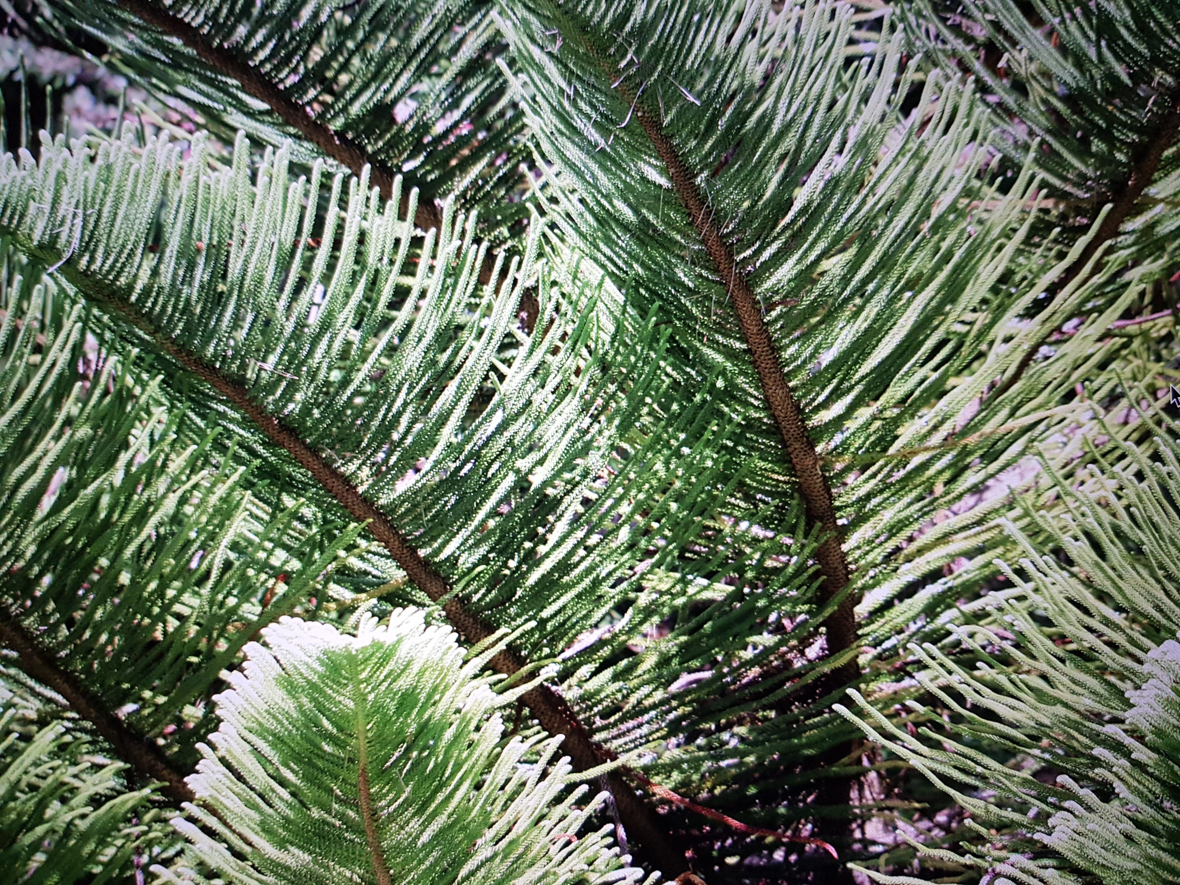 blue sky and white clouds over the sea