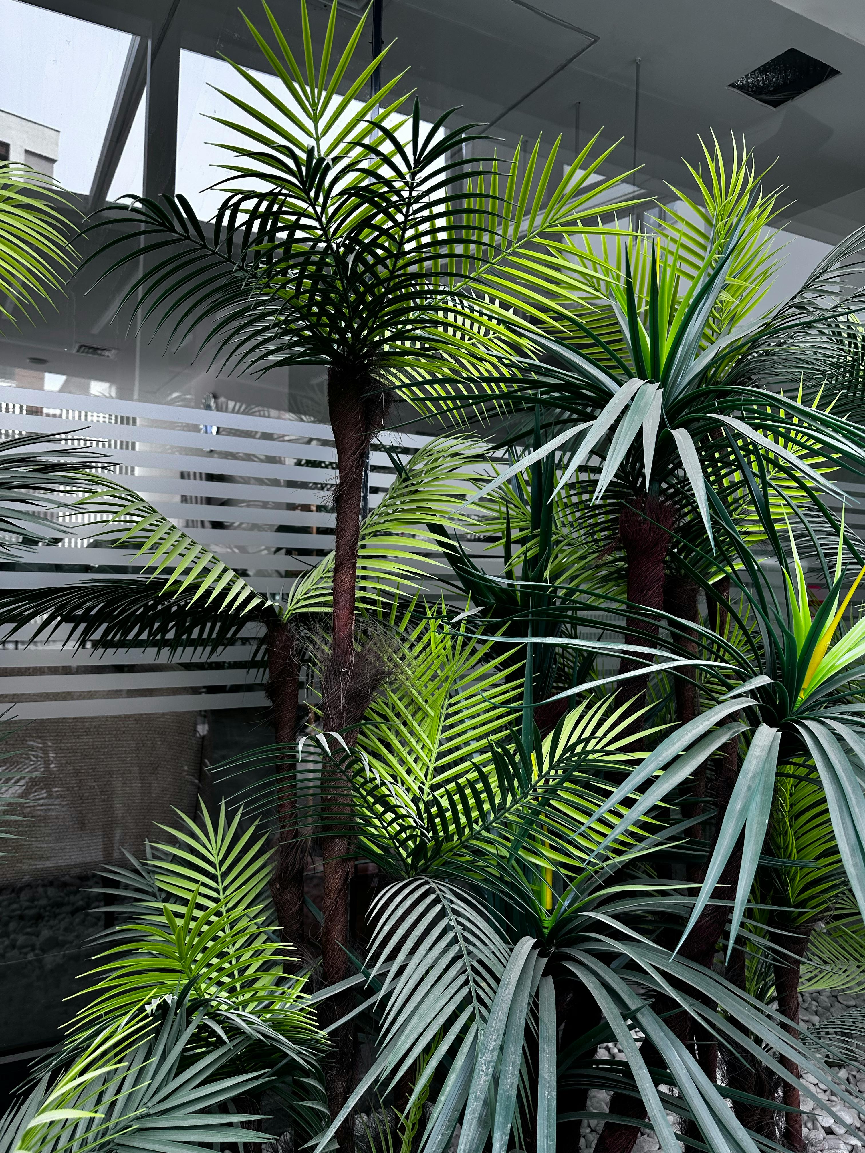 Diseño de paisaje en ciudad de mexico