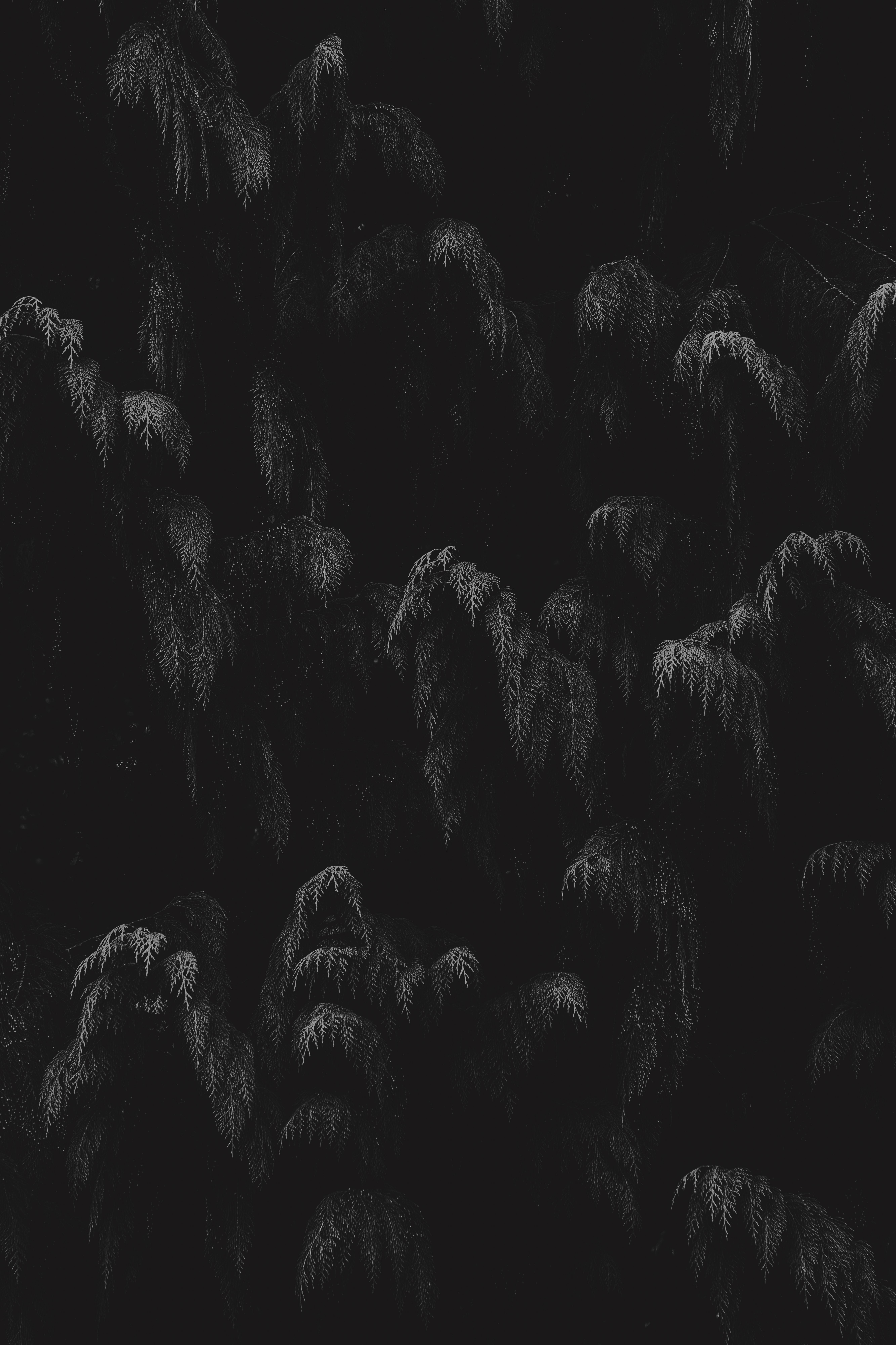 The Void | fotografie op Canson Rag | 90 x 135 cm
