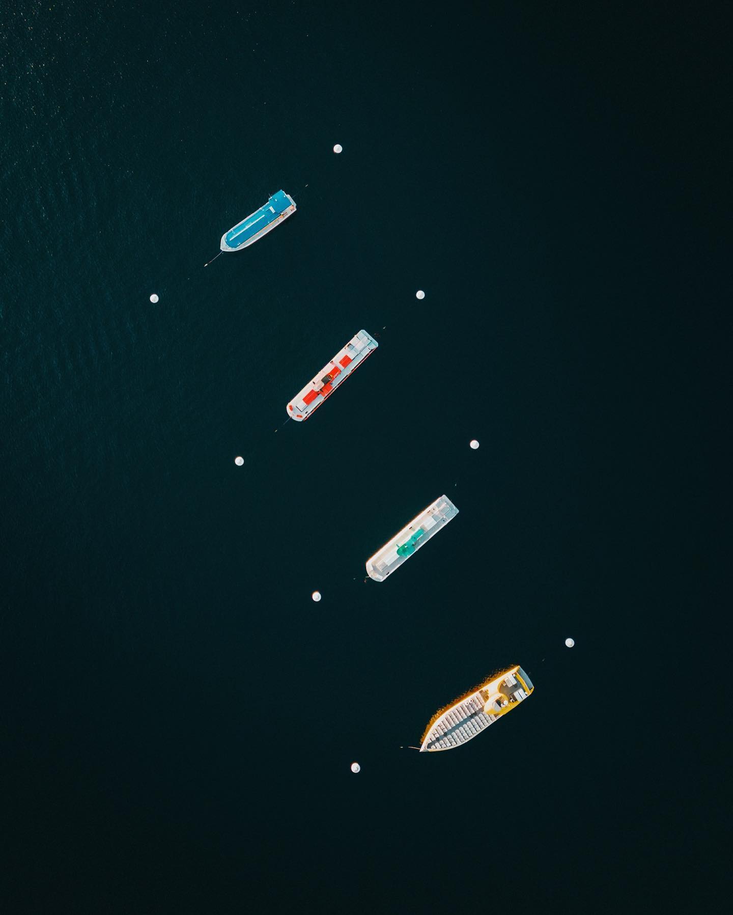 View of Catalina Island with boats in the harbor.