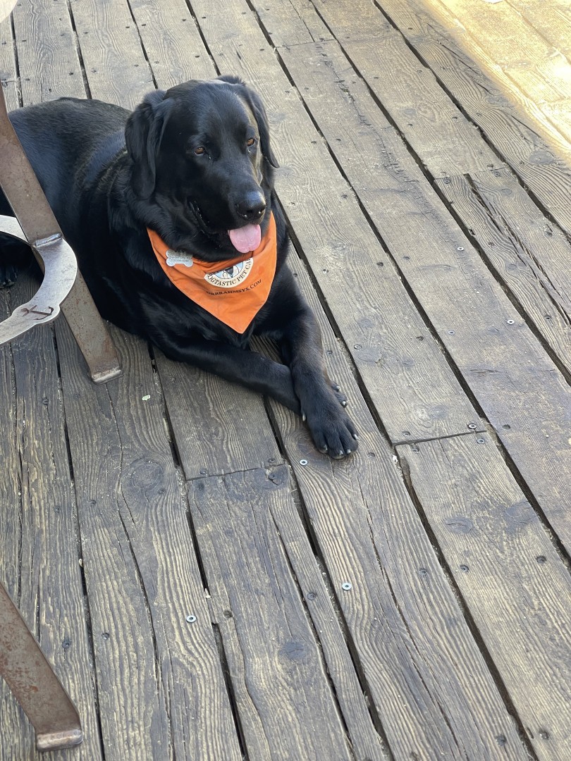 people sitting on chair in front of laptop computers