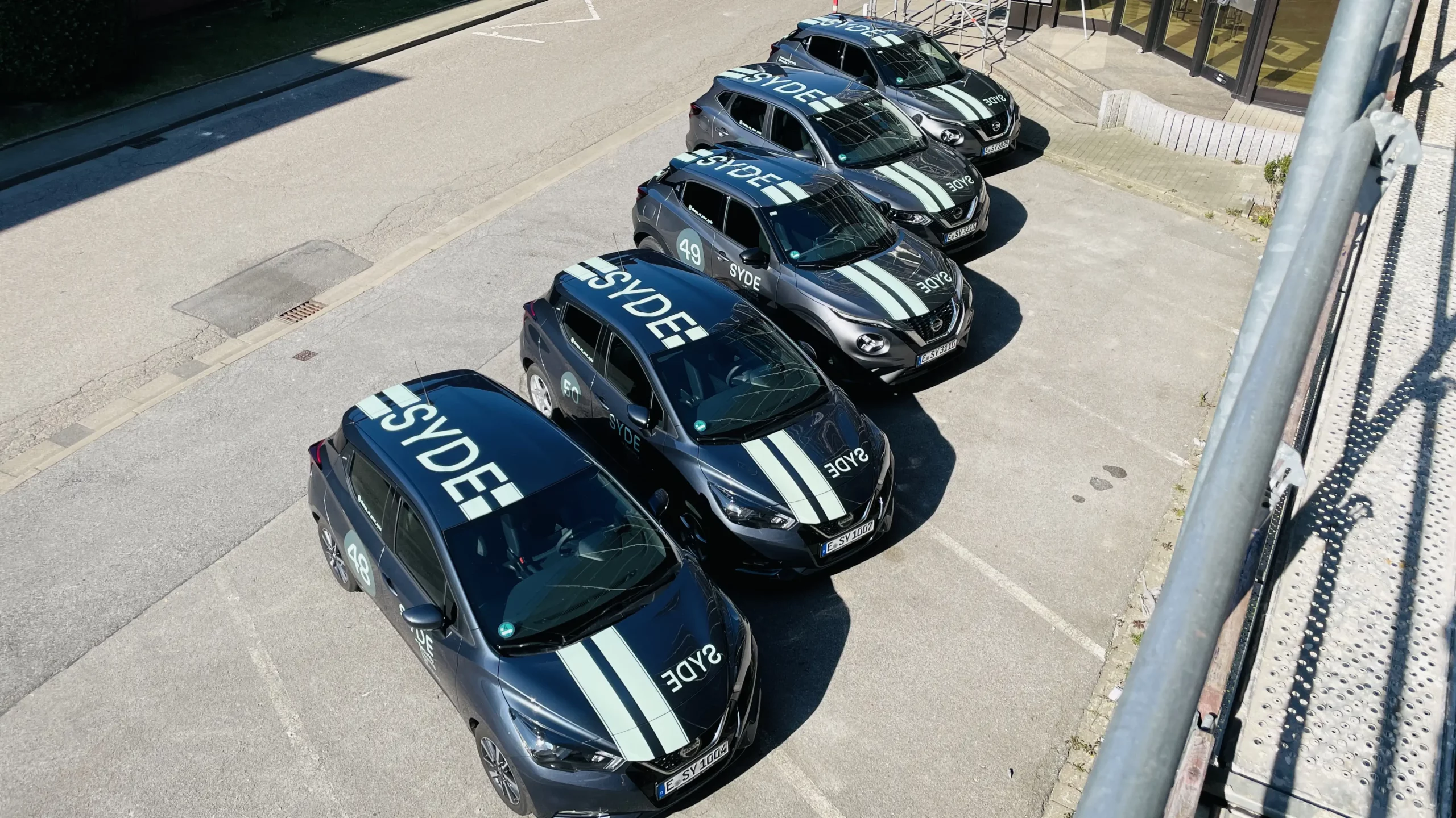 Close-up of a tree stump showing growth rings and a textured brown wood surface.