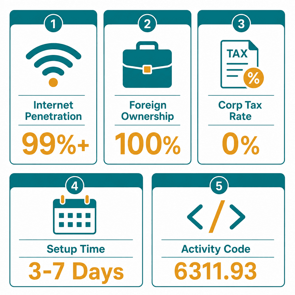 Infographic: How to Get a Electronic Directory Business License in Dubai