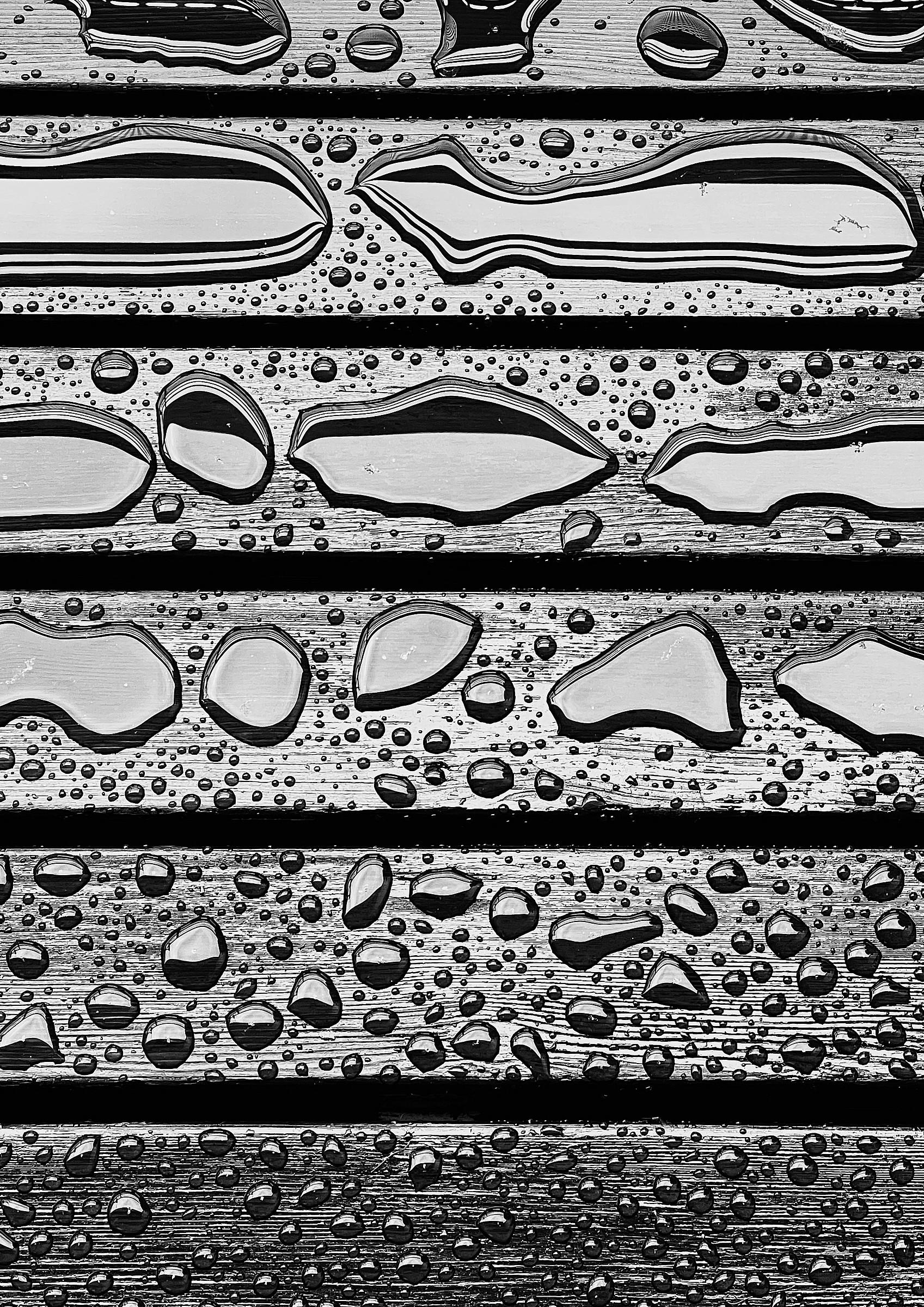 Black and white fine art photograph capturing abstract patterns formed by water droplets by Vladimir Grudev