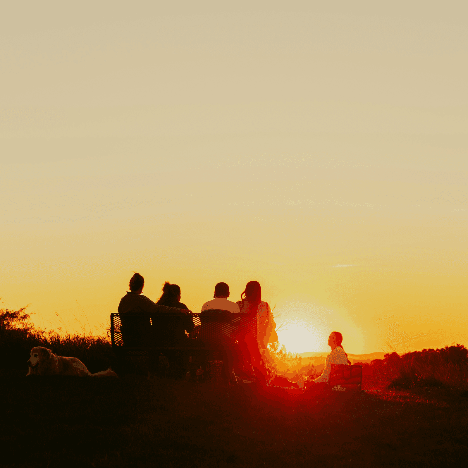 Relaxing Sunset For New Developer Onboarding Integration - Eventive Georgia