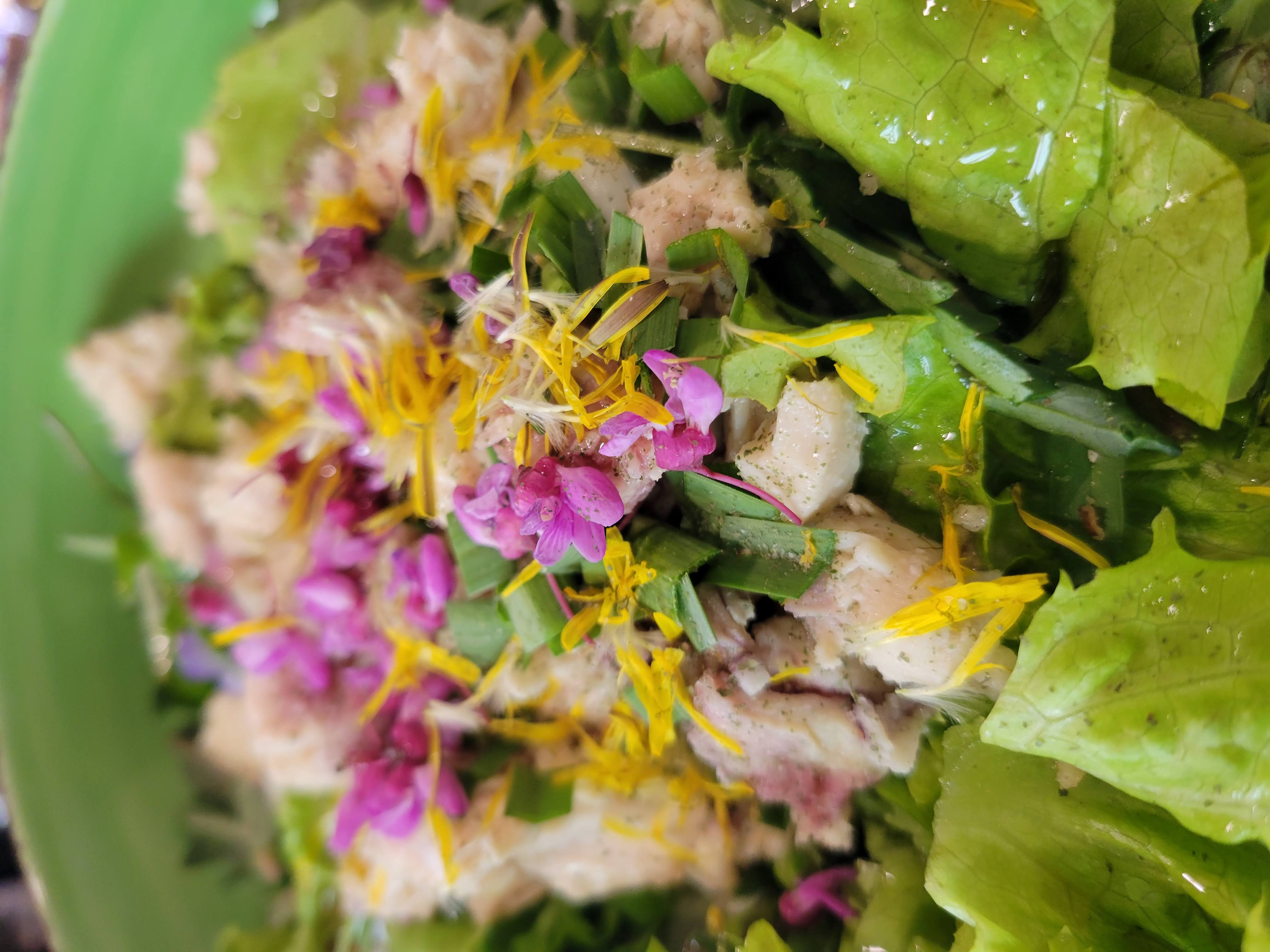 Fresh wild greens and berries in a wooden bowl, representing the hands-on results of Foraging Academy’s certification classes.