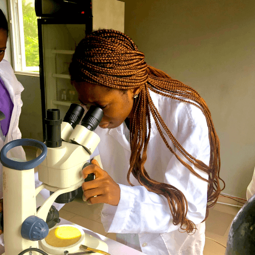 Precious Ojo looking into microscope during science experiment