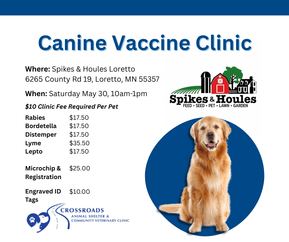 Small dog being held