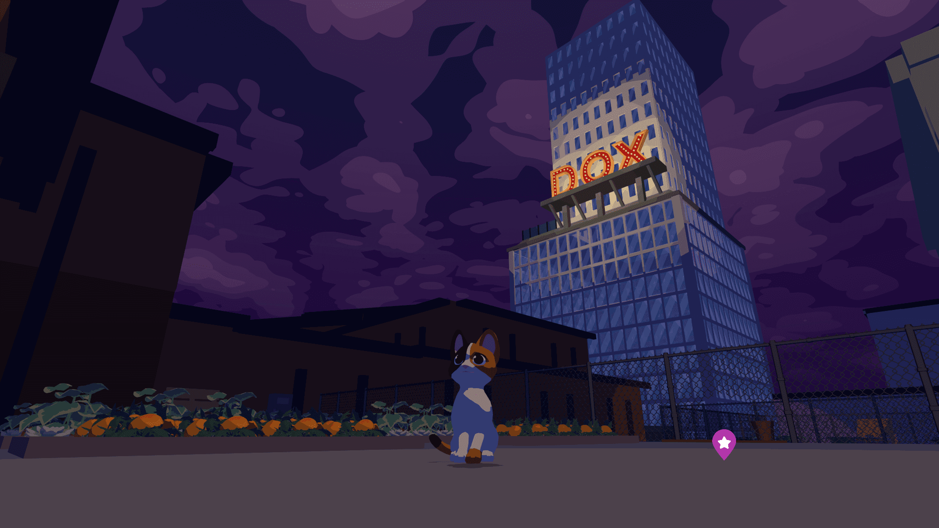 Cat Secretary outside of DOX headquarters at night