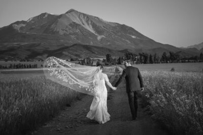 Andy and Amber Carbondale wedding photograph 32