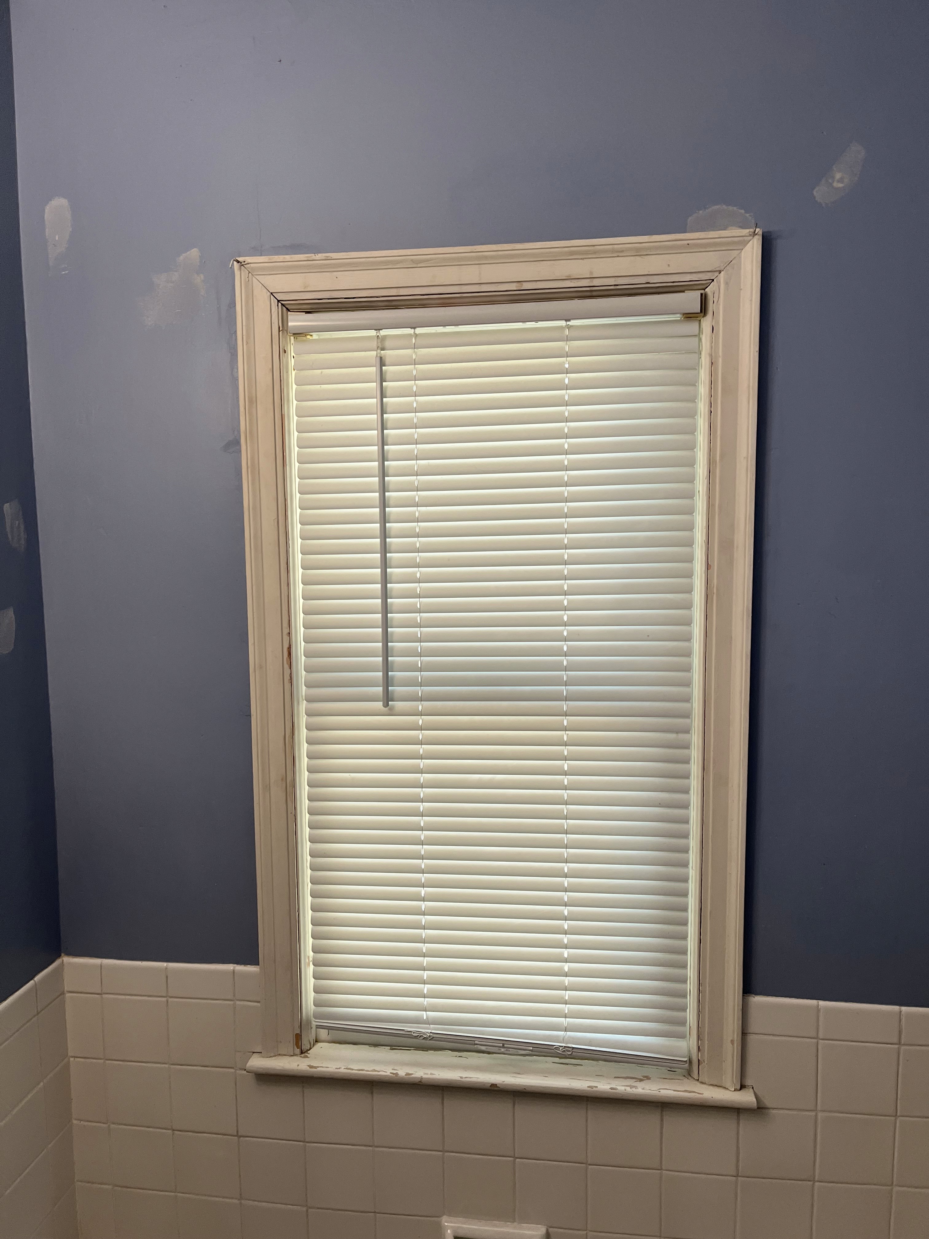 Before Bathroom Update