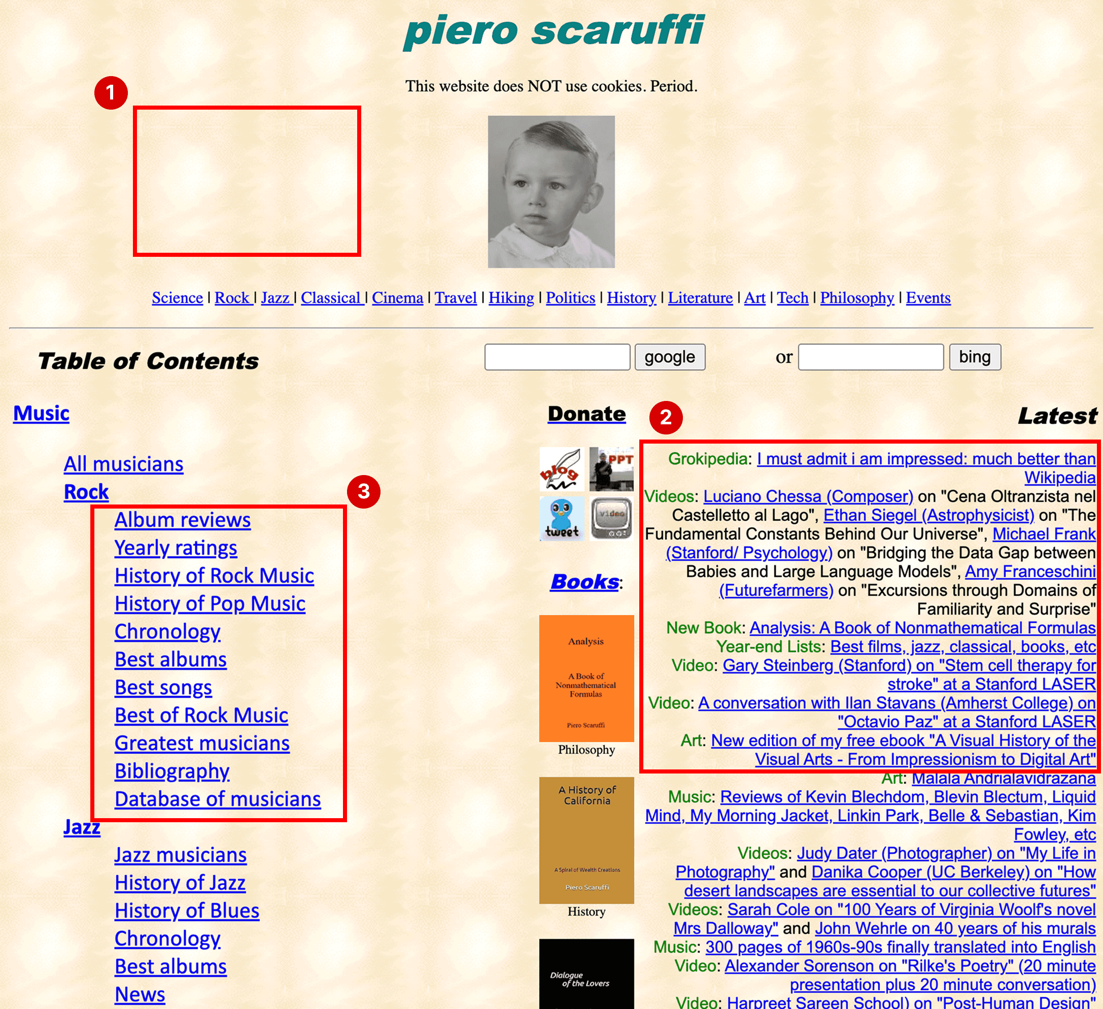 Annotated screenshot pointing out where the specific issues are. Labeled #1 is a red rectangle simply highlighting the patterned background of the website. Labeled #2 is a rectangle highlighting a bunch of text that is aligned to the right. Labeled #3 is a rectangle highlighting a bunch of linked text