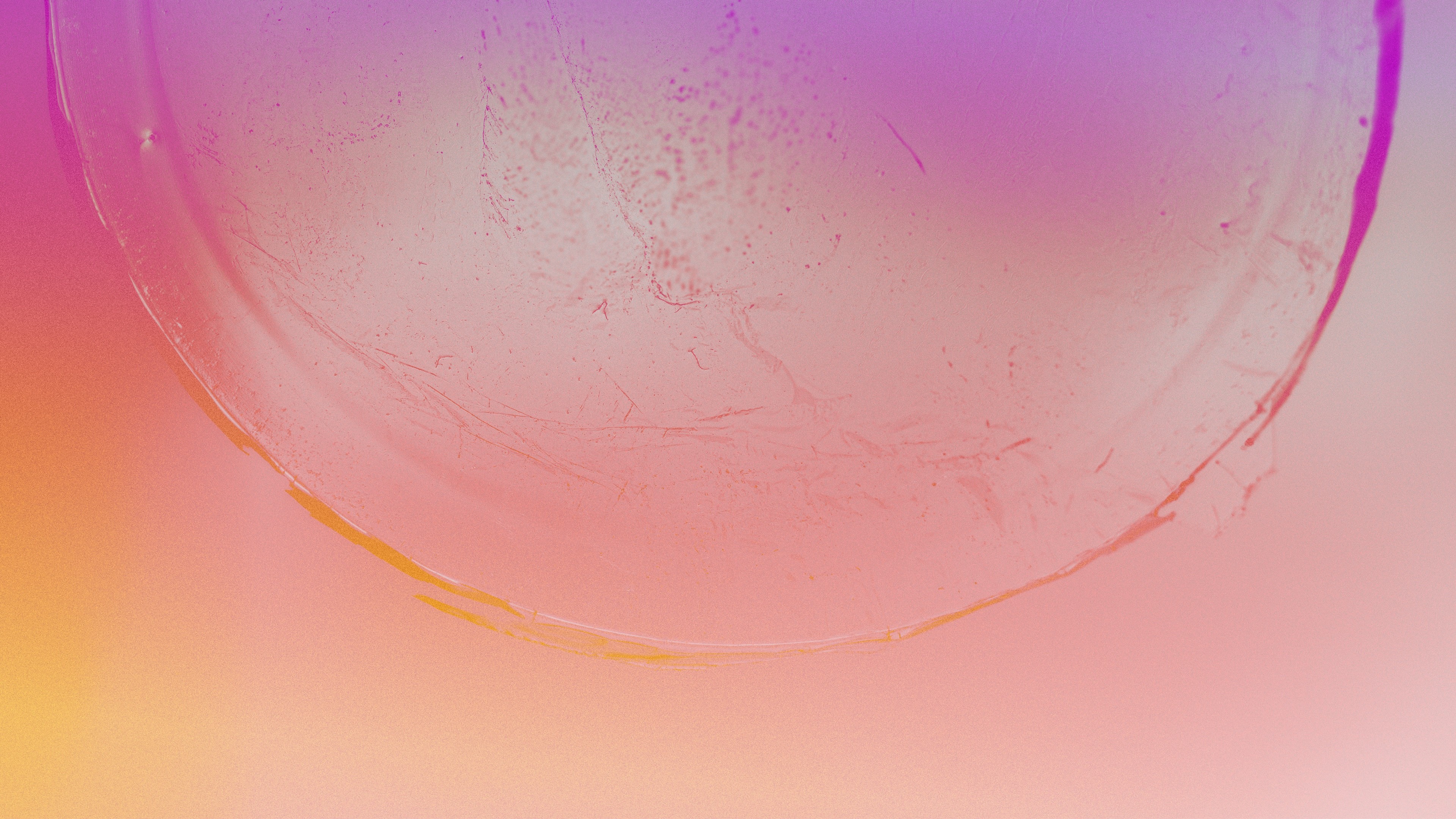 An SEM image of a cellophane-like biomaterial colorized with a purple to yellow gradient.