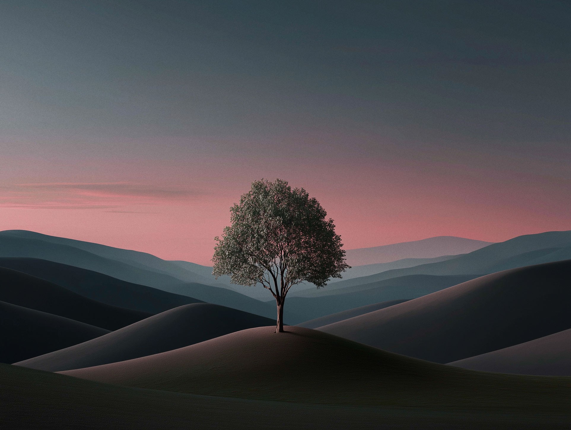 Pinecone resting on cracked earth with distant mountains behind it