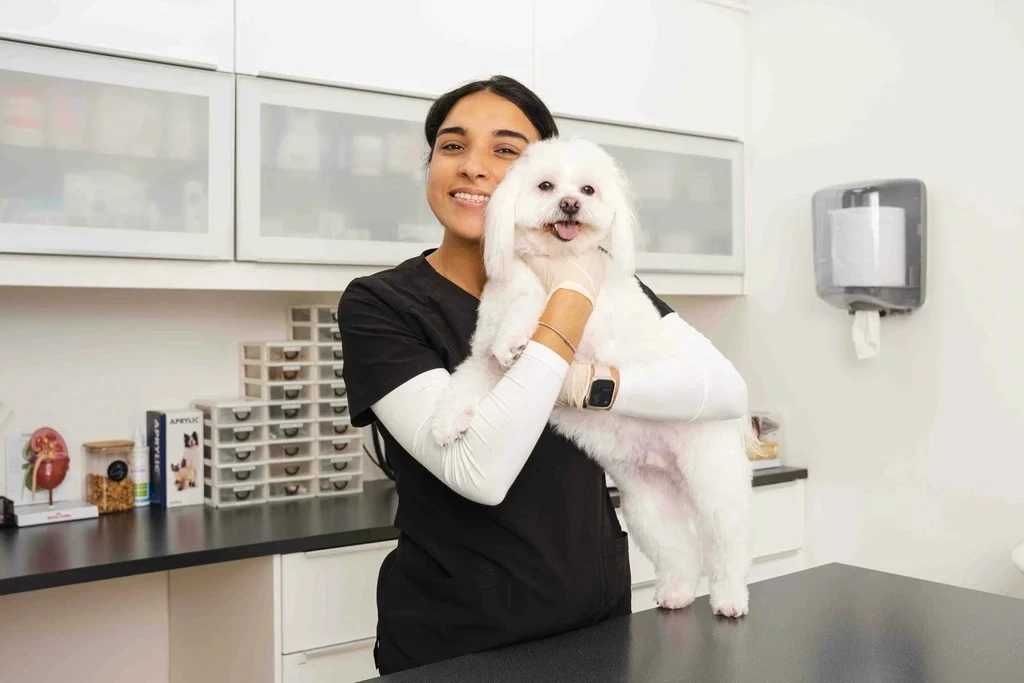 Dr. Aya Maher at our vet clinic performing a routine checkup on a small white dog.