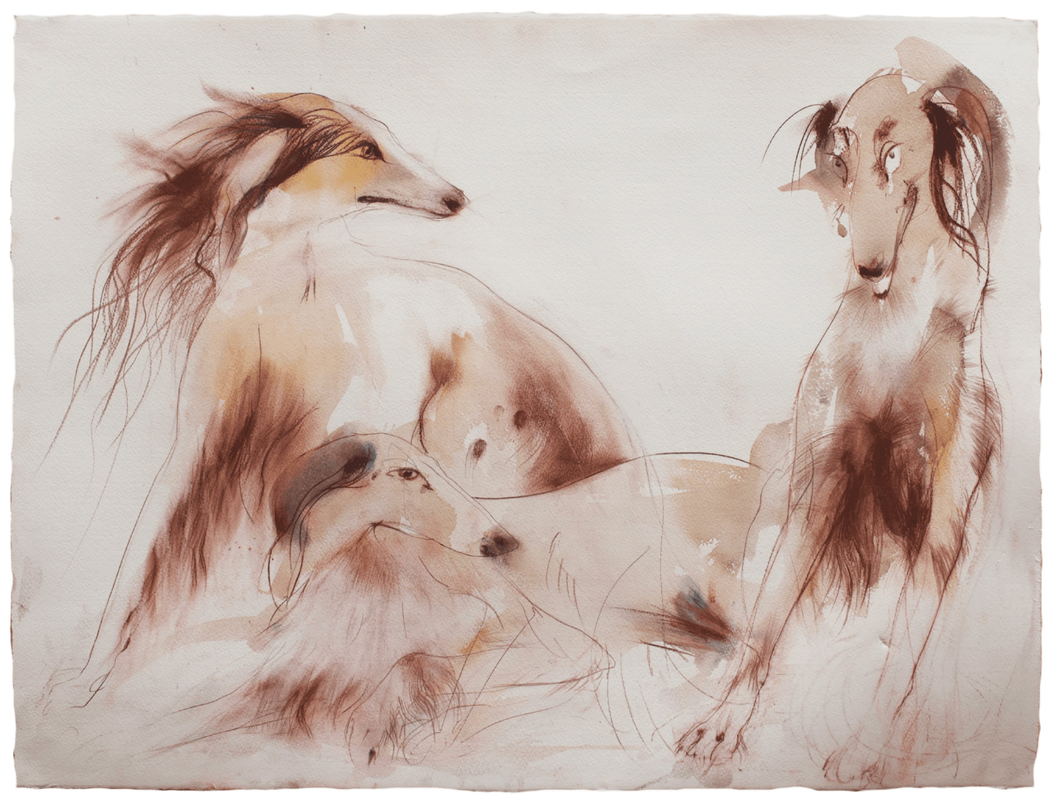 A watercolor painting depicts three graceful greyhounds, elegantly posed with fluid brushstrokes and soft, earthy tones, capturing their tranquil yet dynamic presence.