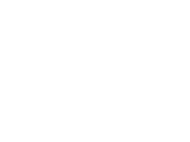 Plarium Logo