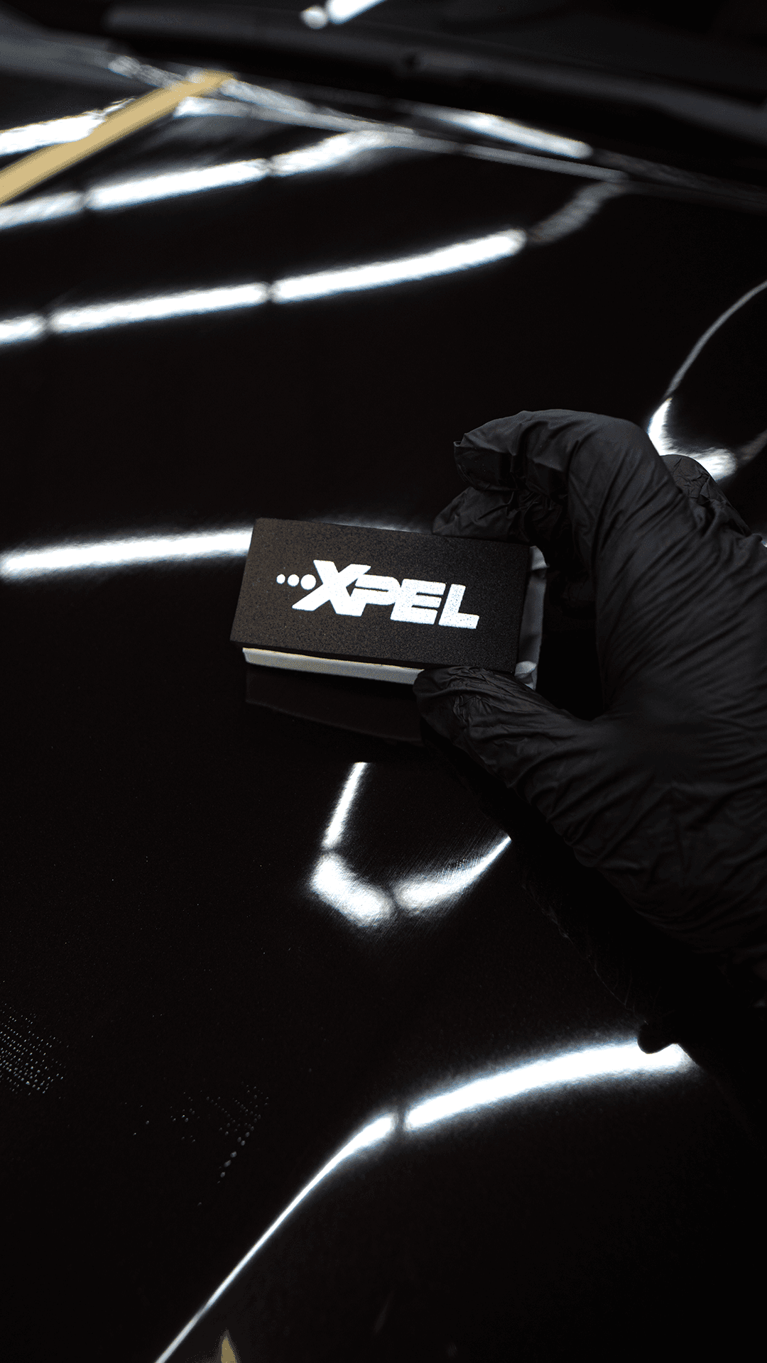 Close-up of blue flowers, glistening with droplets of water, creating a serene and calming atmosphere.