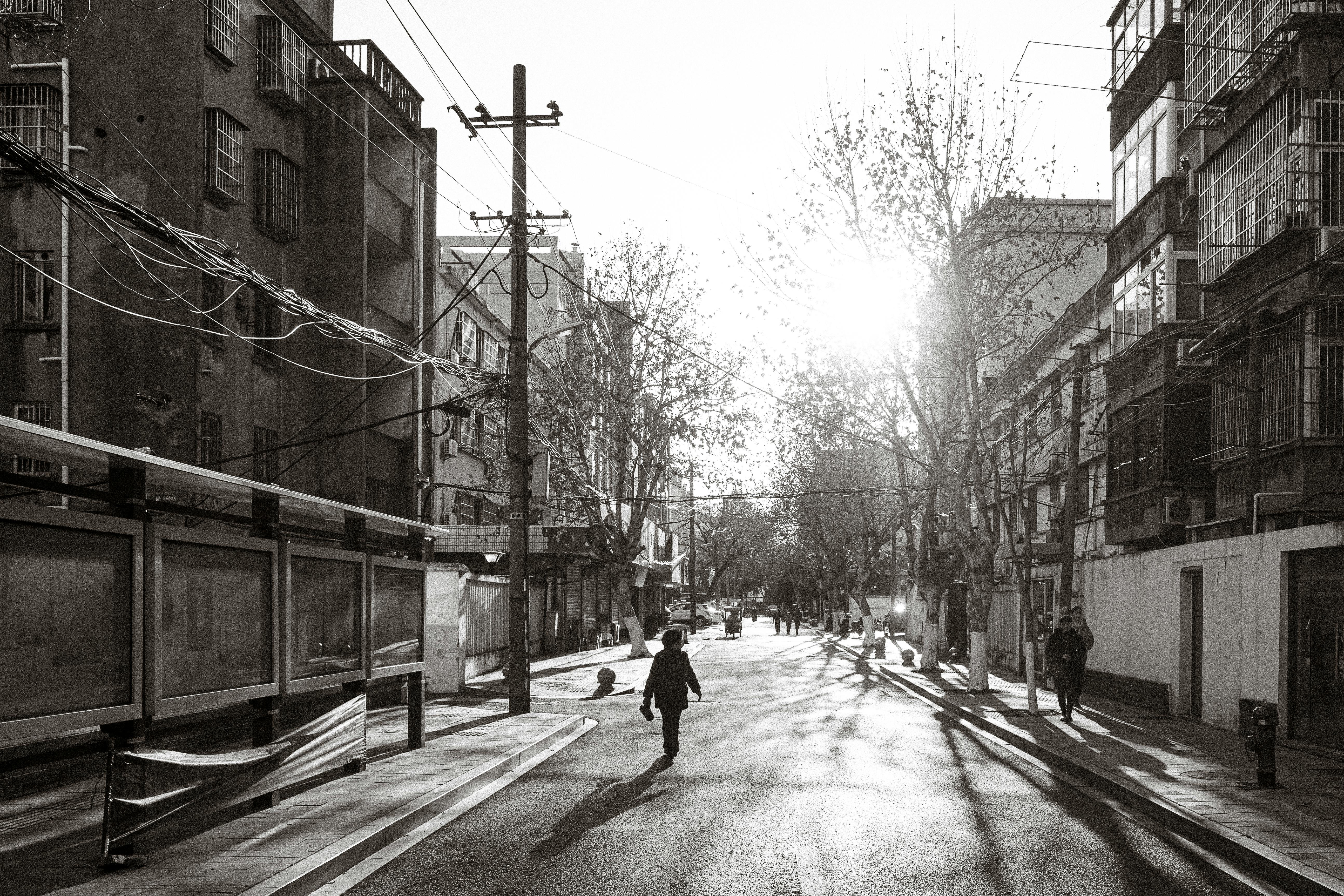 Wilder Collective Image 2