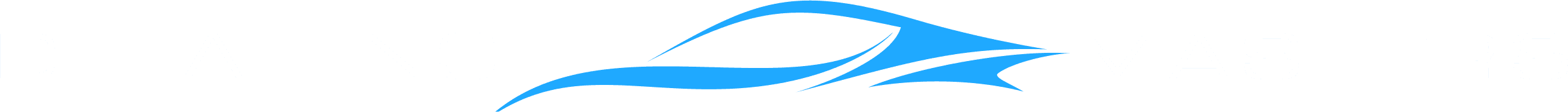 Detailing Masters logo horizontal layout 2 color for dark backgrounds