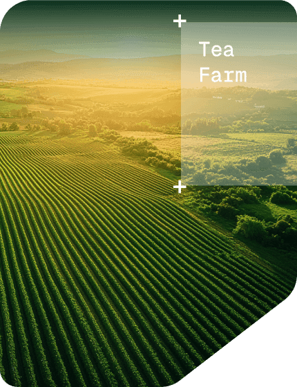 Agriculture Example Image