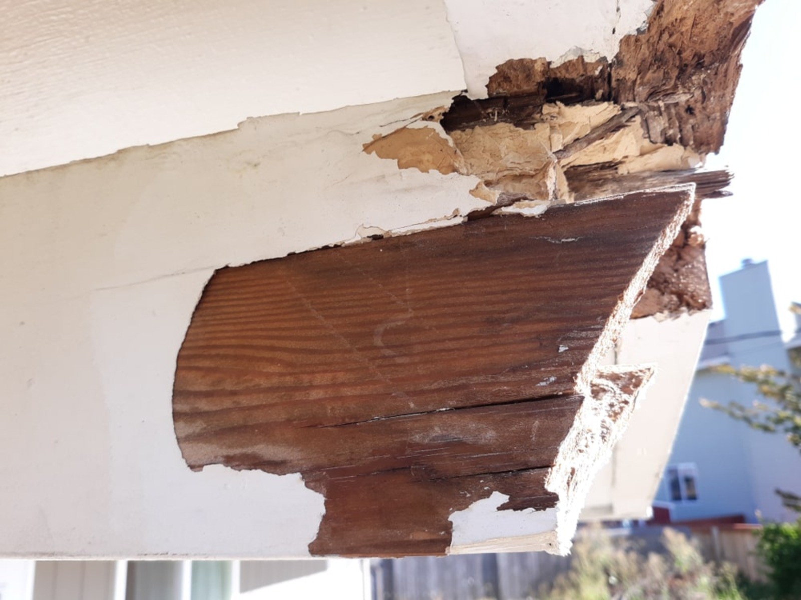 Expert Rot Repair Services in Bothell - Restore Your Home Today