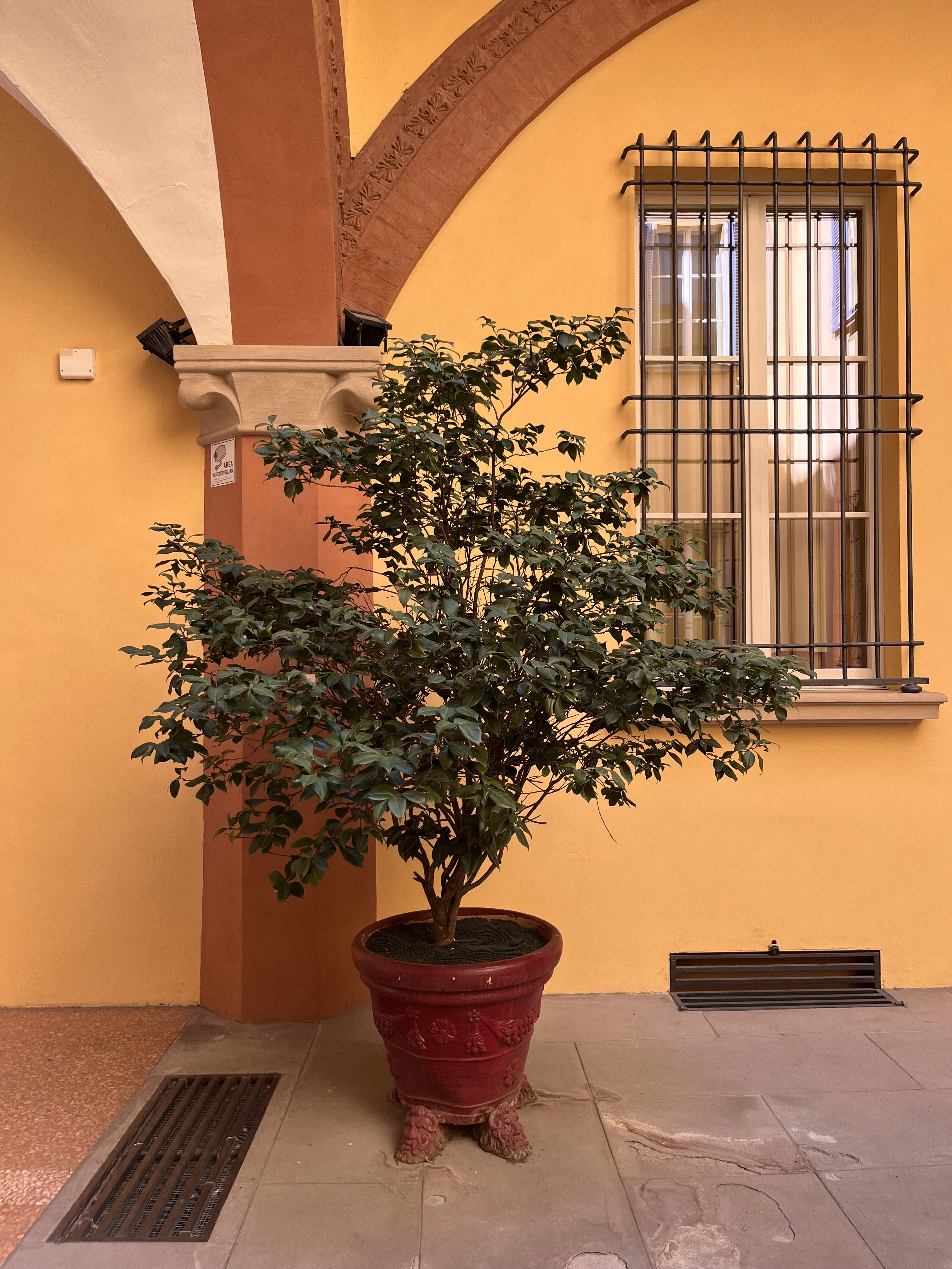 Modern timber-clad residence with horizontal wood facade and geometric volumes set on manicured lawn