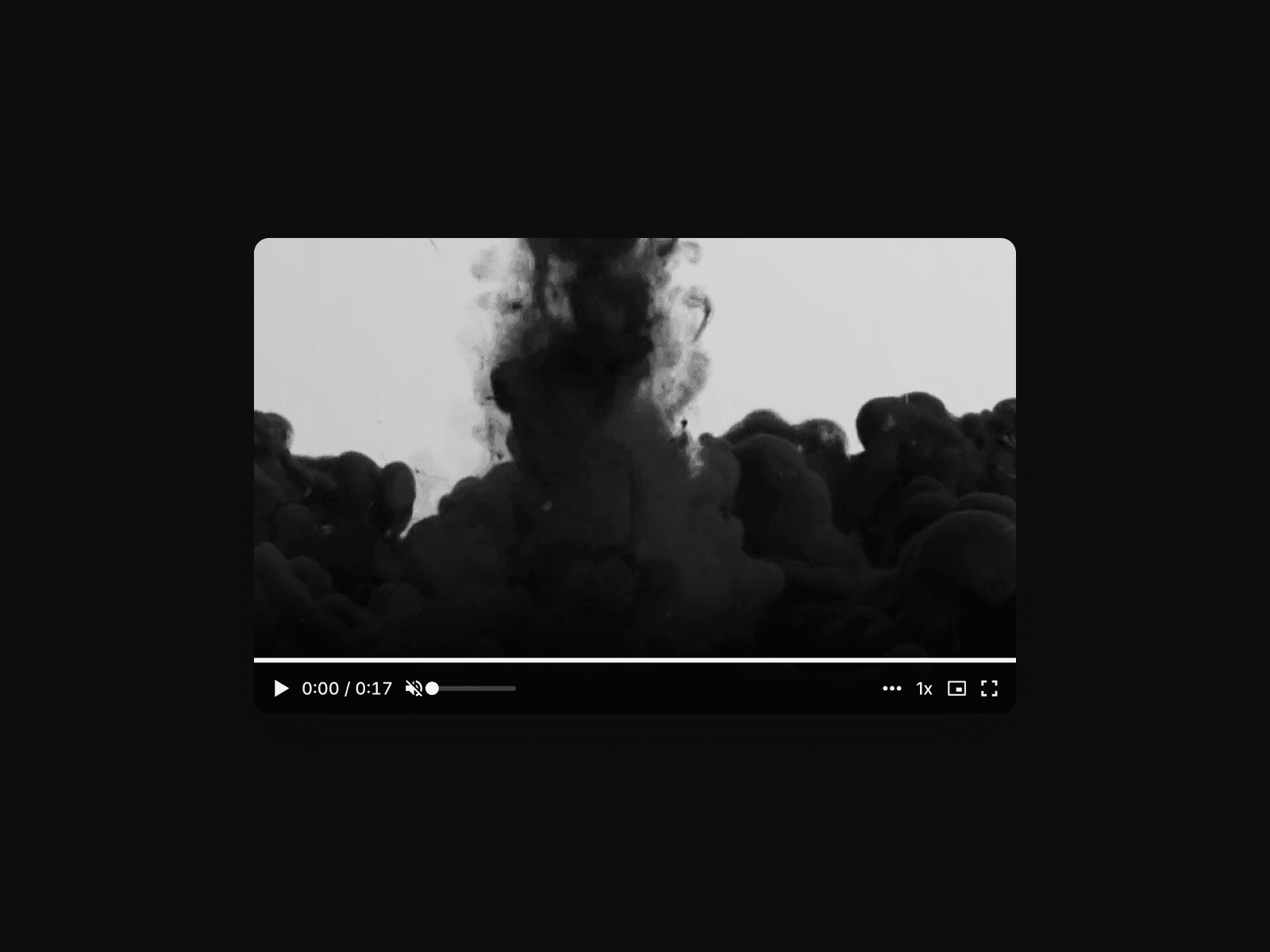 Video Pro Max