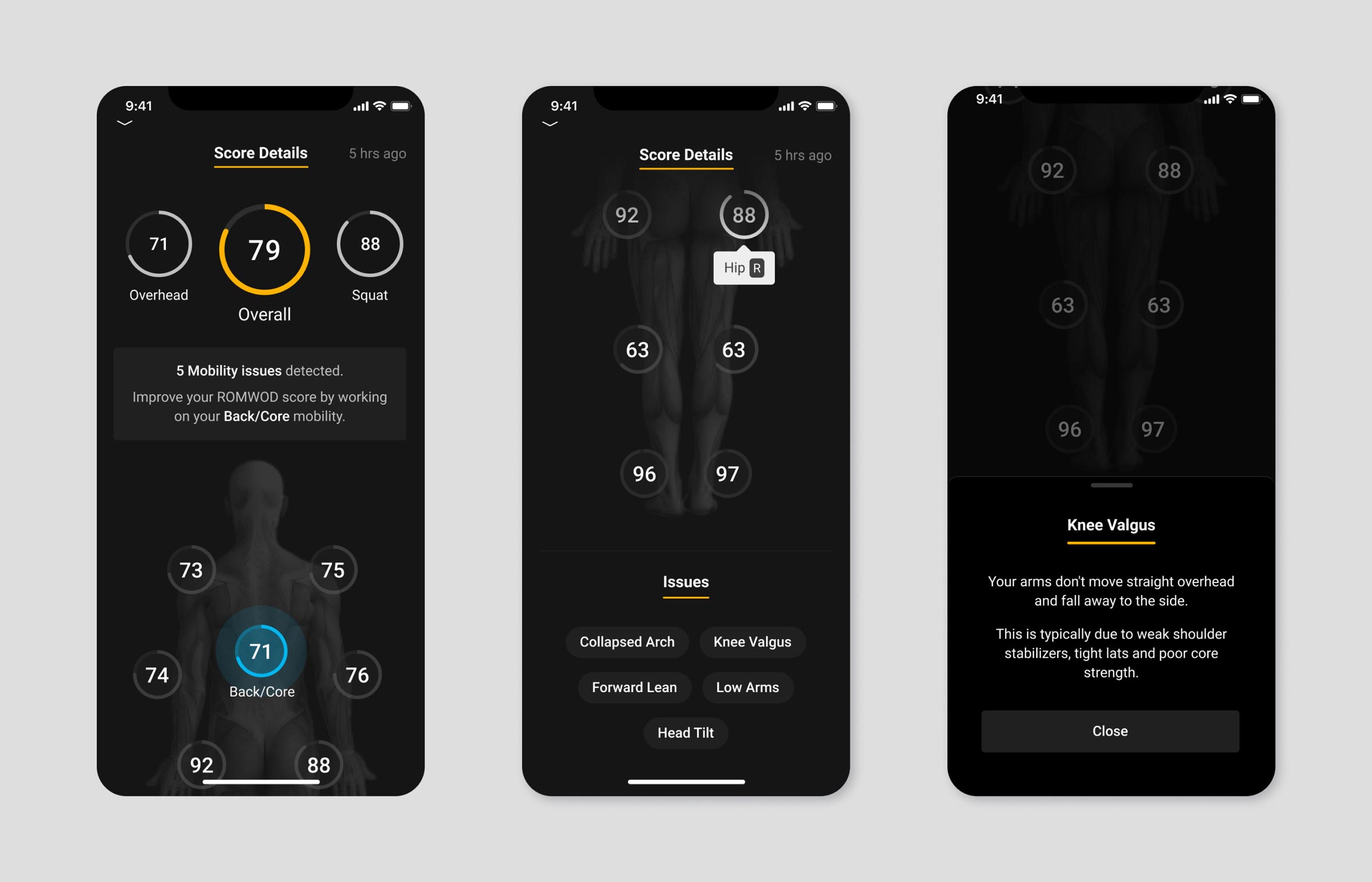 The results identify any dysfunctions in specific movement patterns, so instead of attributing tight hamstrings as the issue, the results indicate movement dysfunctions in the hip, ankle, or other primary joints. 