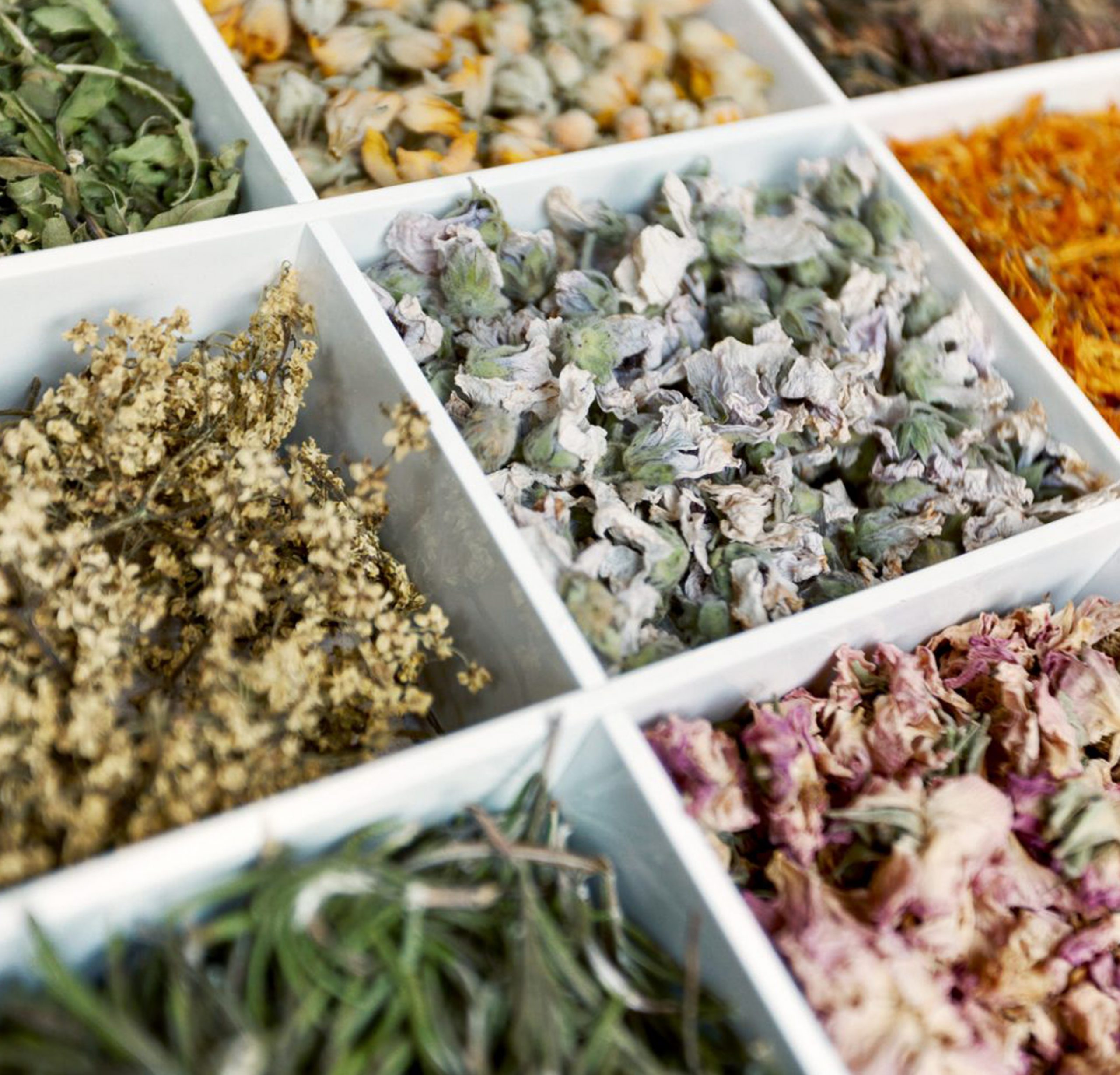 Intelligent Tea's delicious herbs which they are supplying to As One Restaurant Dublin
