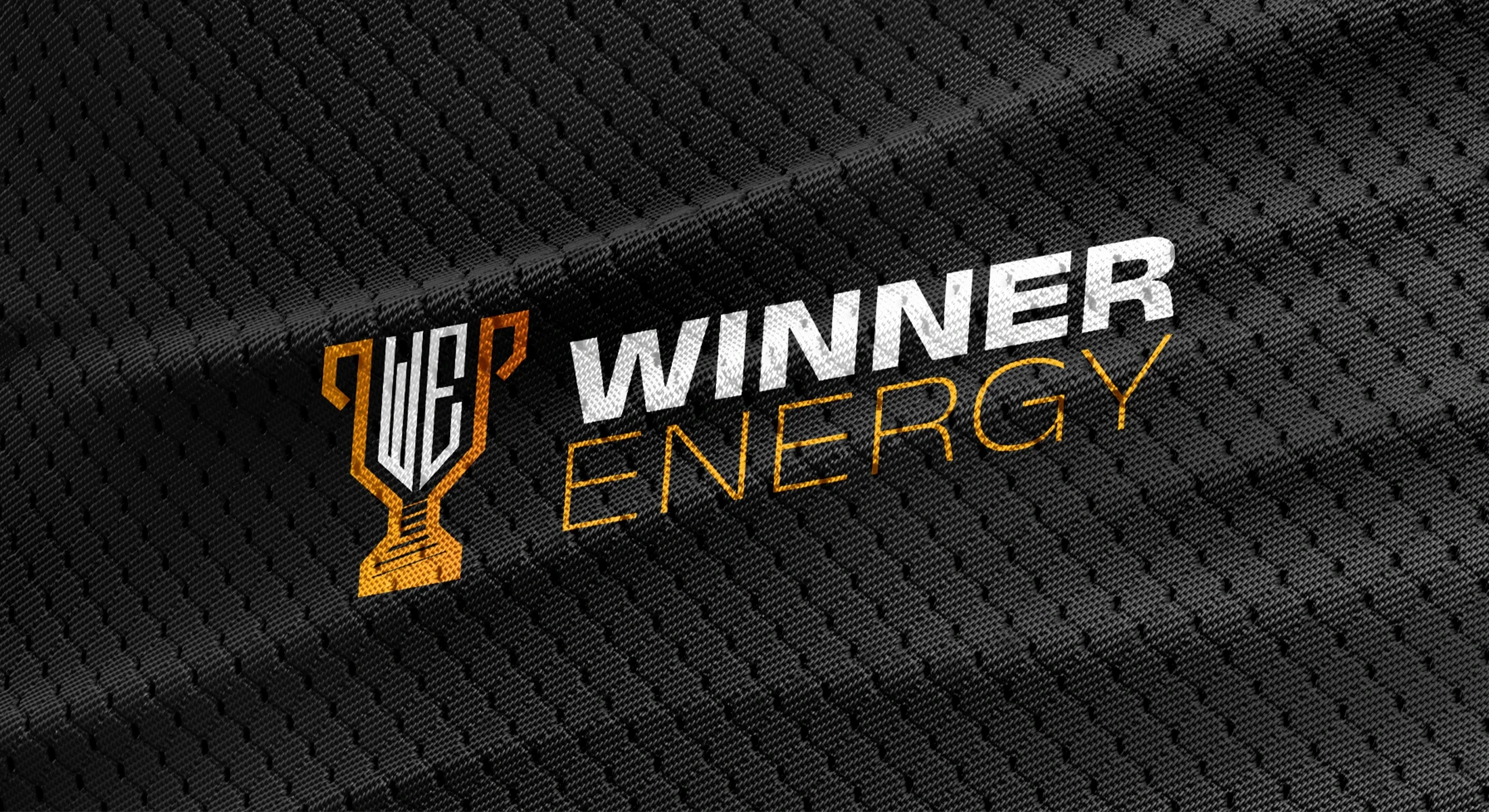 Logo serwisu WinnerEnergy