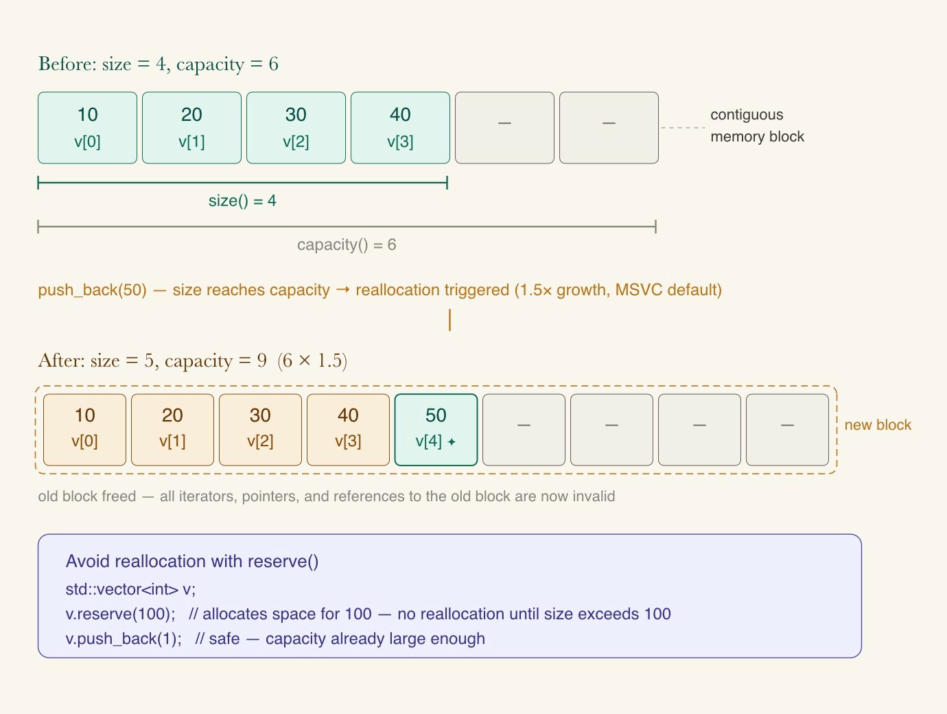 std::vector memory model showing size vs capacity across contiguous slots, with a 1.5× reallocation moving all elements to a new 9-slot block