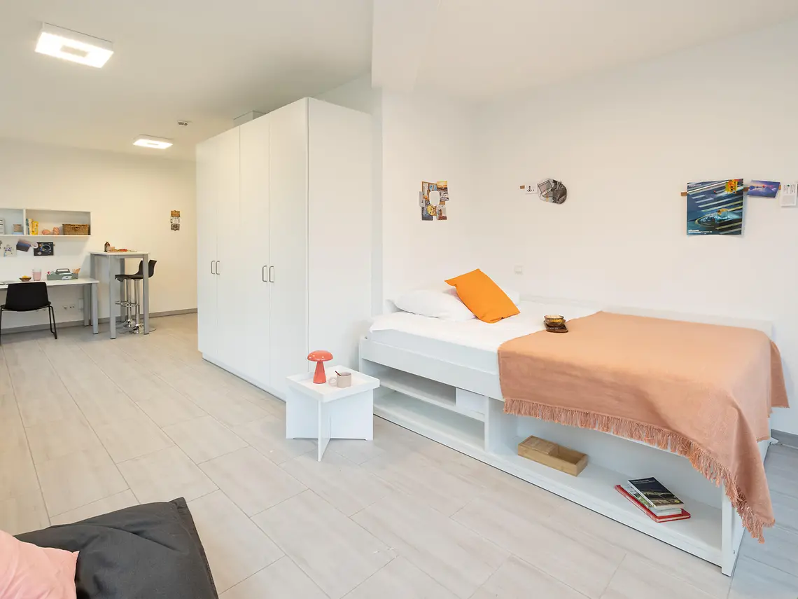 Modern student studio in Darmstadt with bed, storage and living space