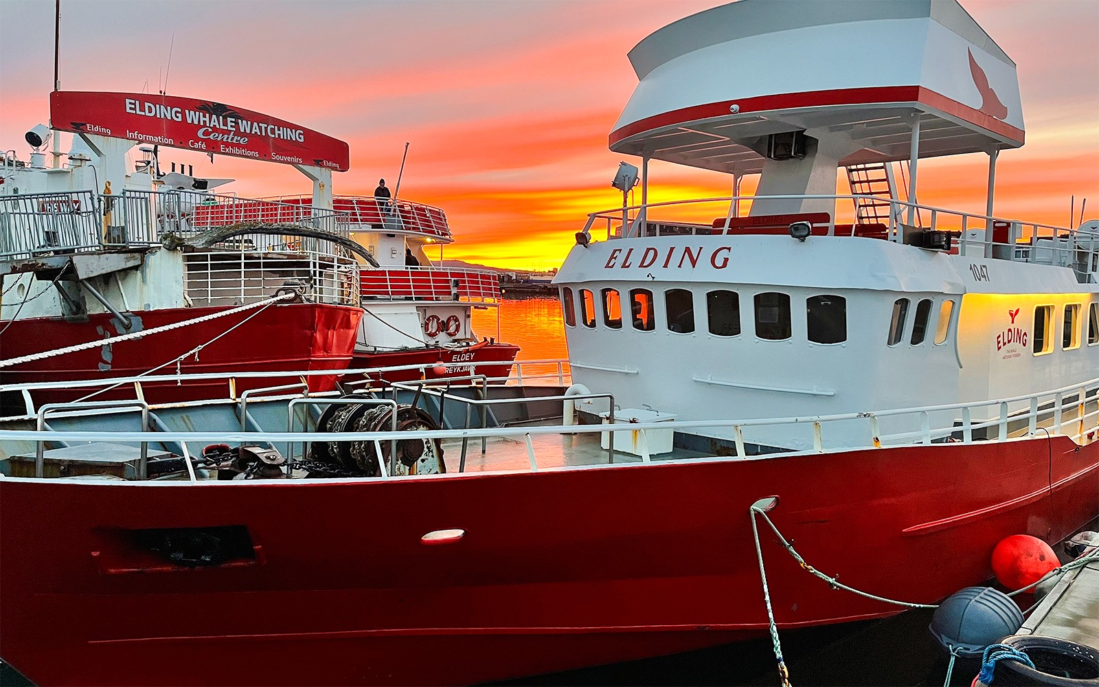 Hvalsafari båter ved Elding Besøkssenter, Reykjavik, under en livlig solnedgang.