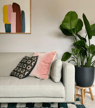 Colourful Design Studio >