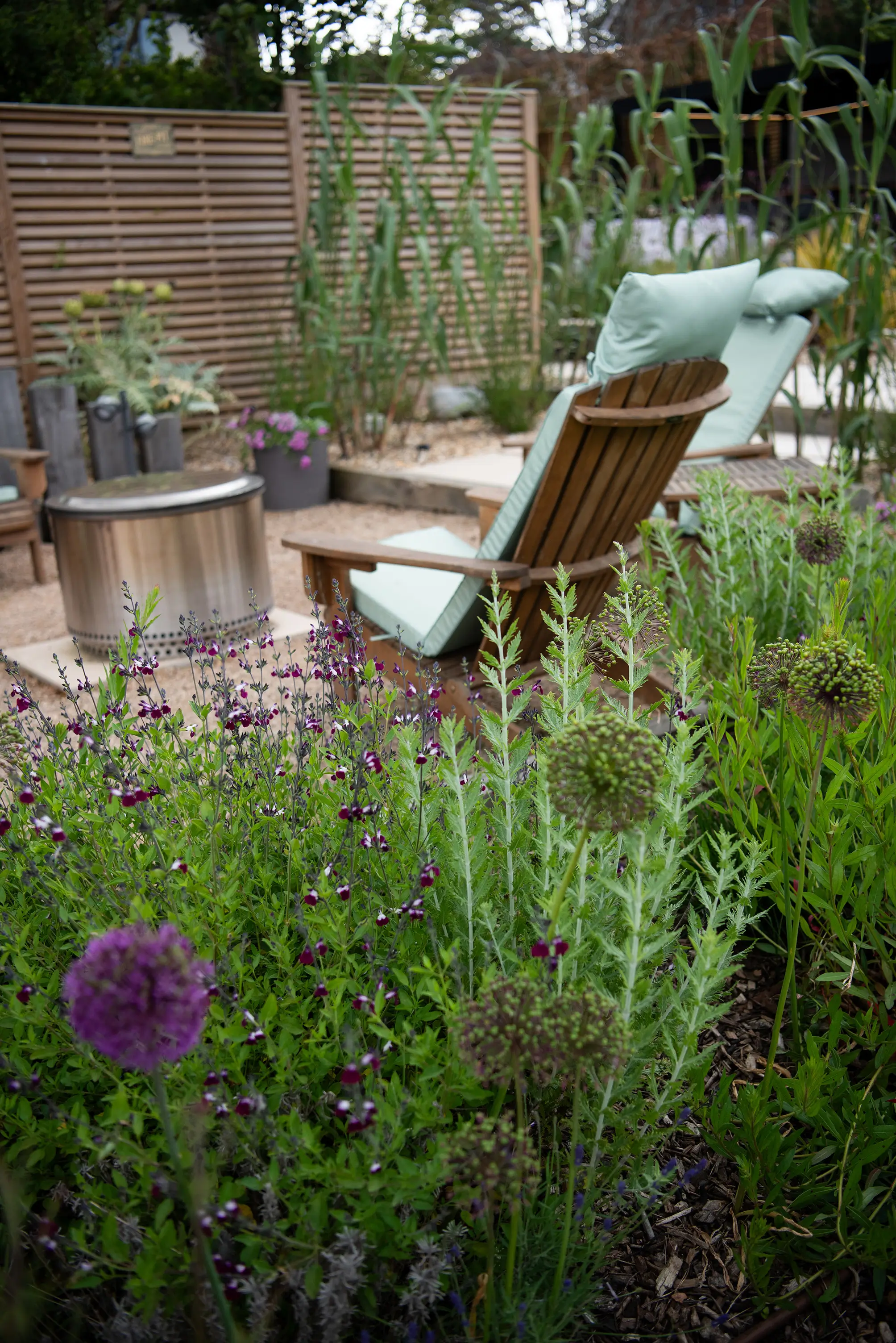 A garden seating area with wooden chairs surrounded by plants.