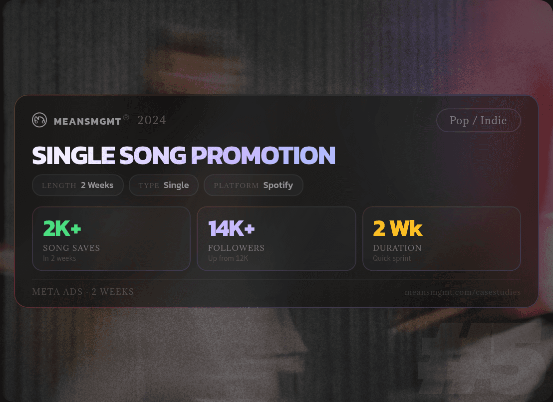 Case Study #5: Music Marketing Campaign Results - Single Release - Jan-Feb 2025 - Song Saves, Streams, Profile Follows, Email Signups