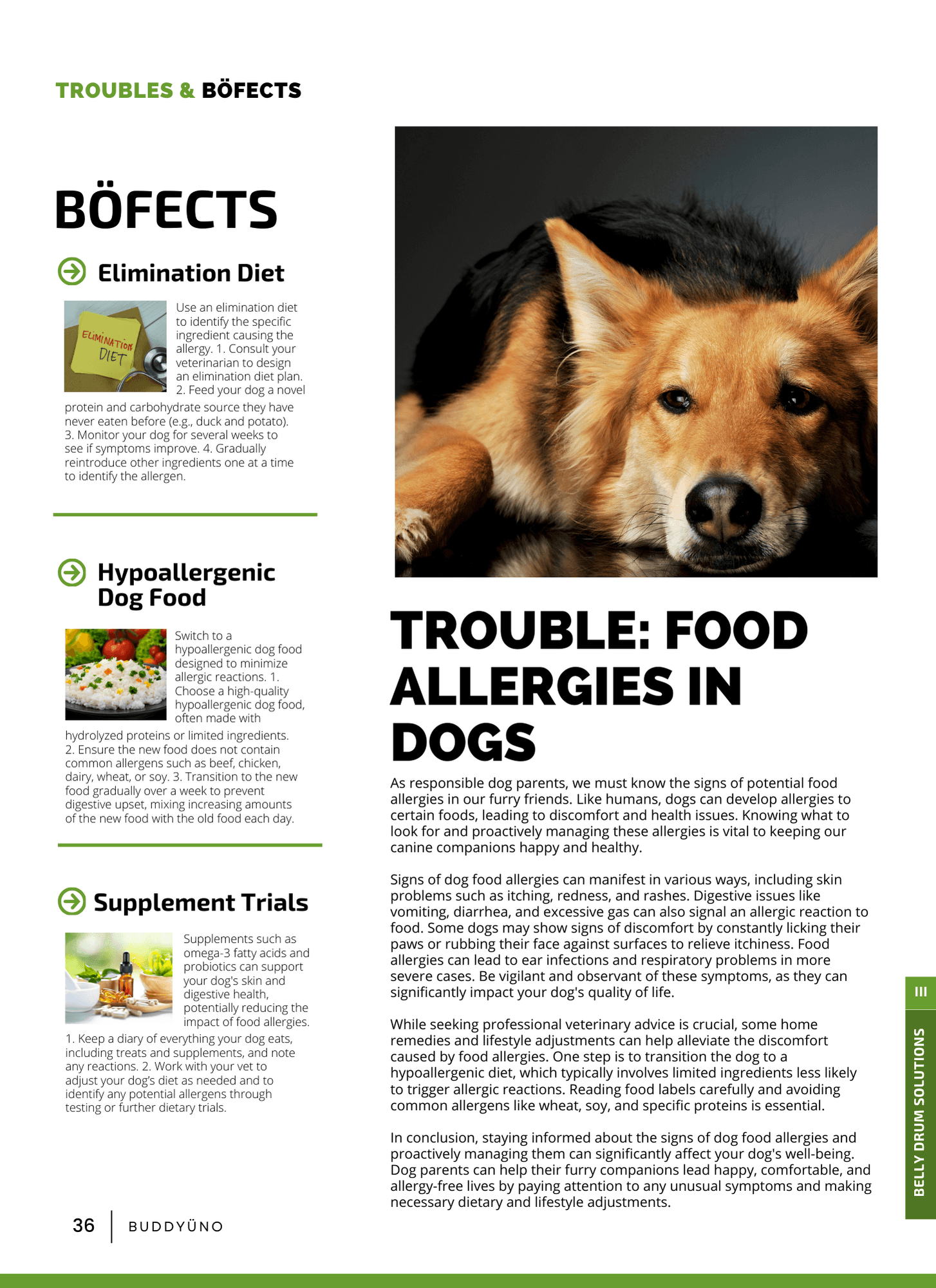 buddyuno, dog magazine, page 36