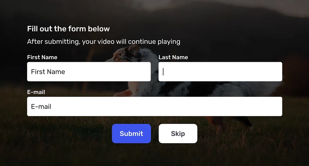 Lead capture screen in the Panda Video player