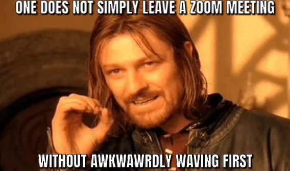 37 Zoom memes that made us cry