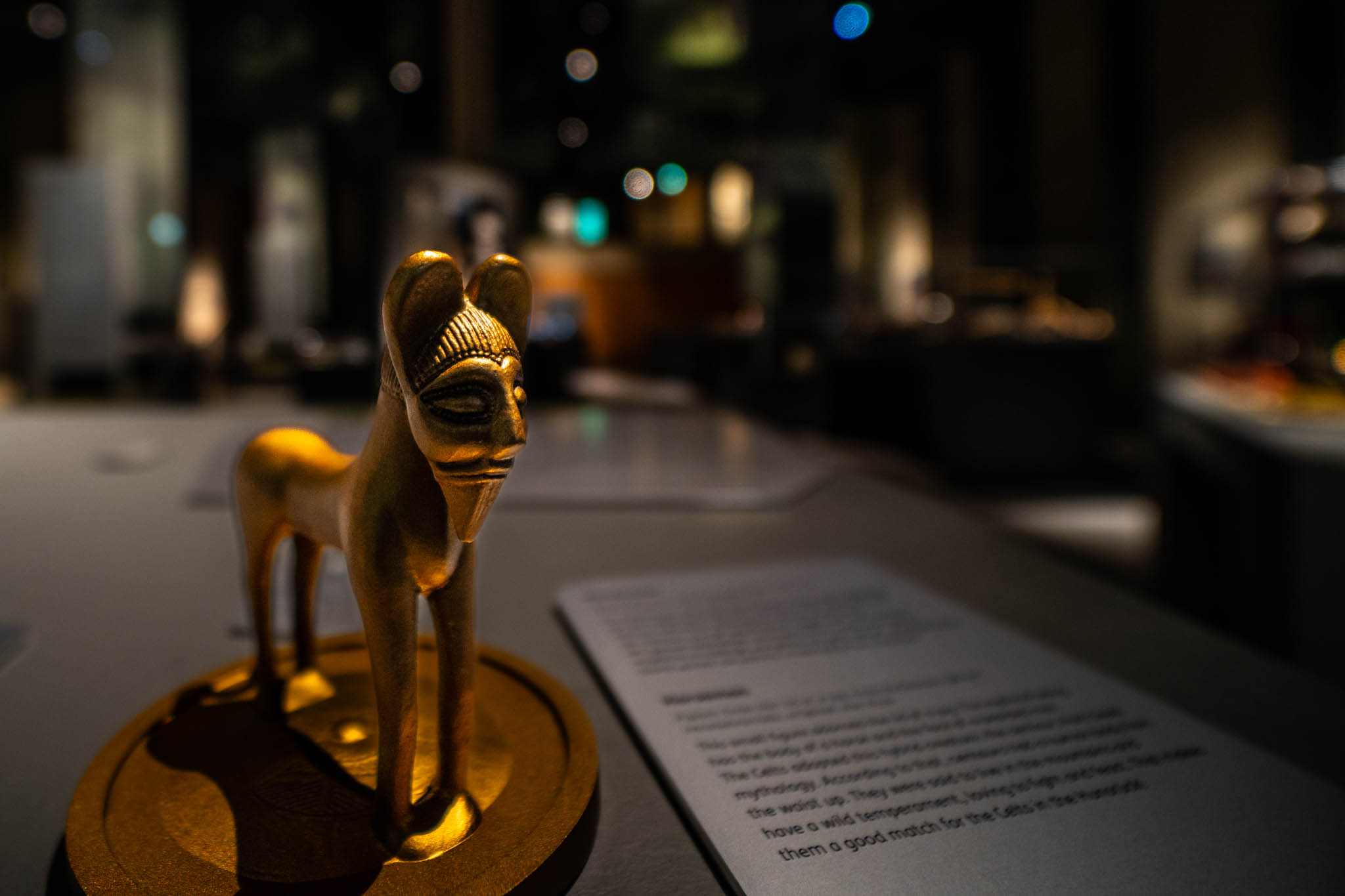 Ausstellung im Nationalpark-Tor Keltenpark